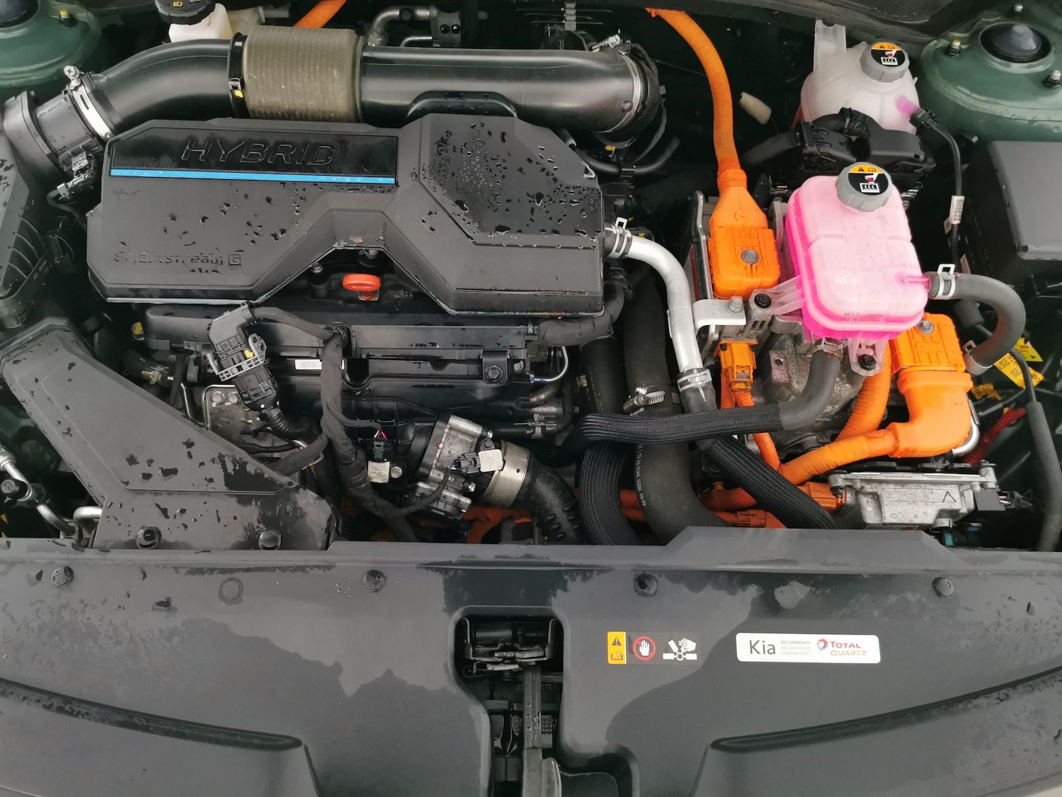 Used Kia Sportage 2024 for sale - 77324291: Photo 36