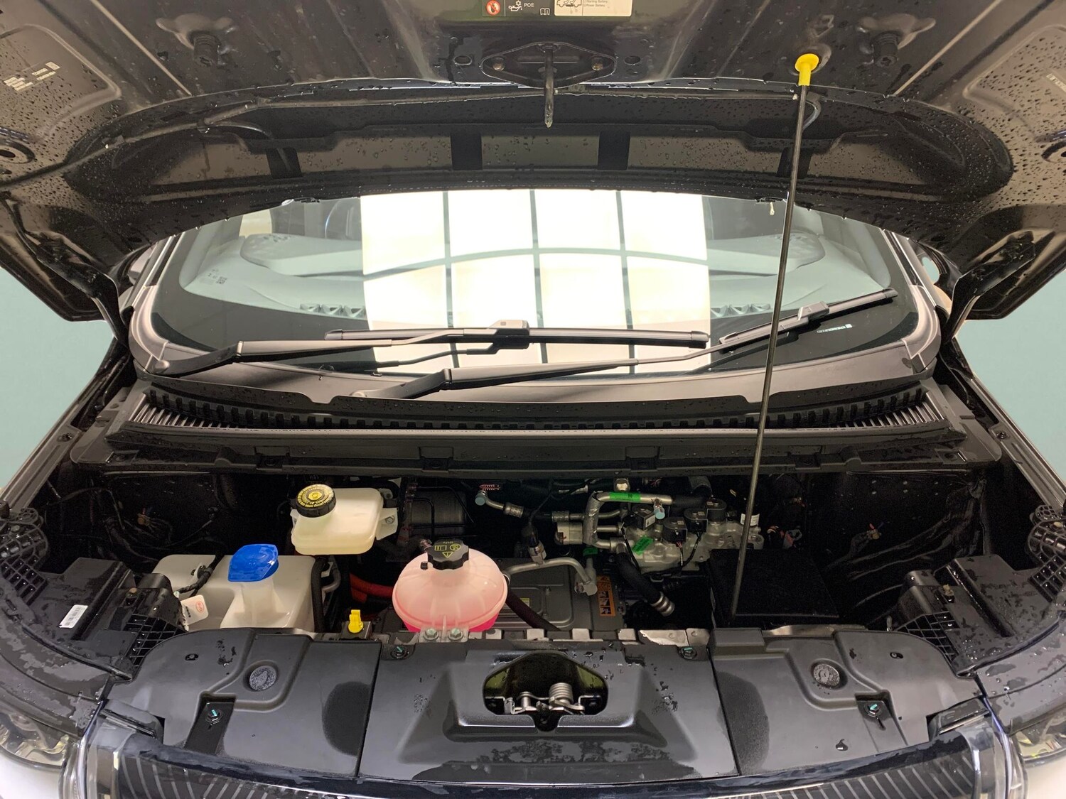 Used BYD Dolphin 2024 for sale - 78103971: Photo 31