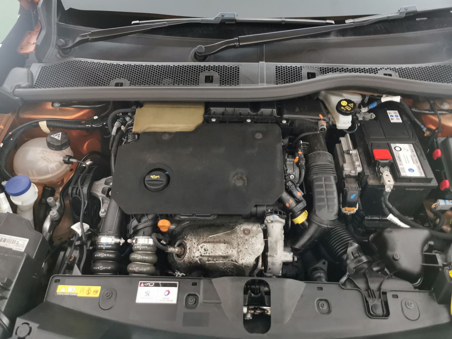 Used Peugeot 2008 2021 for sale - 77232678: Photo 32