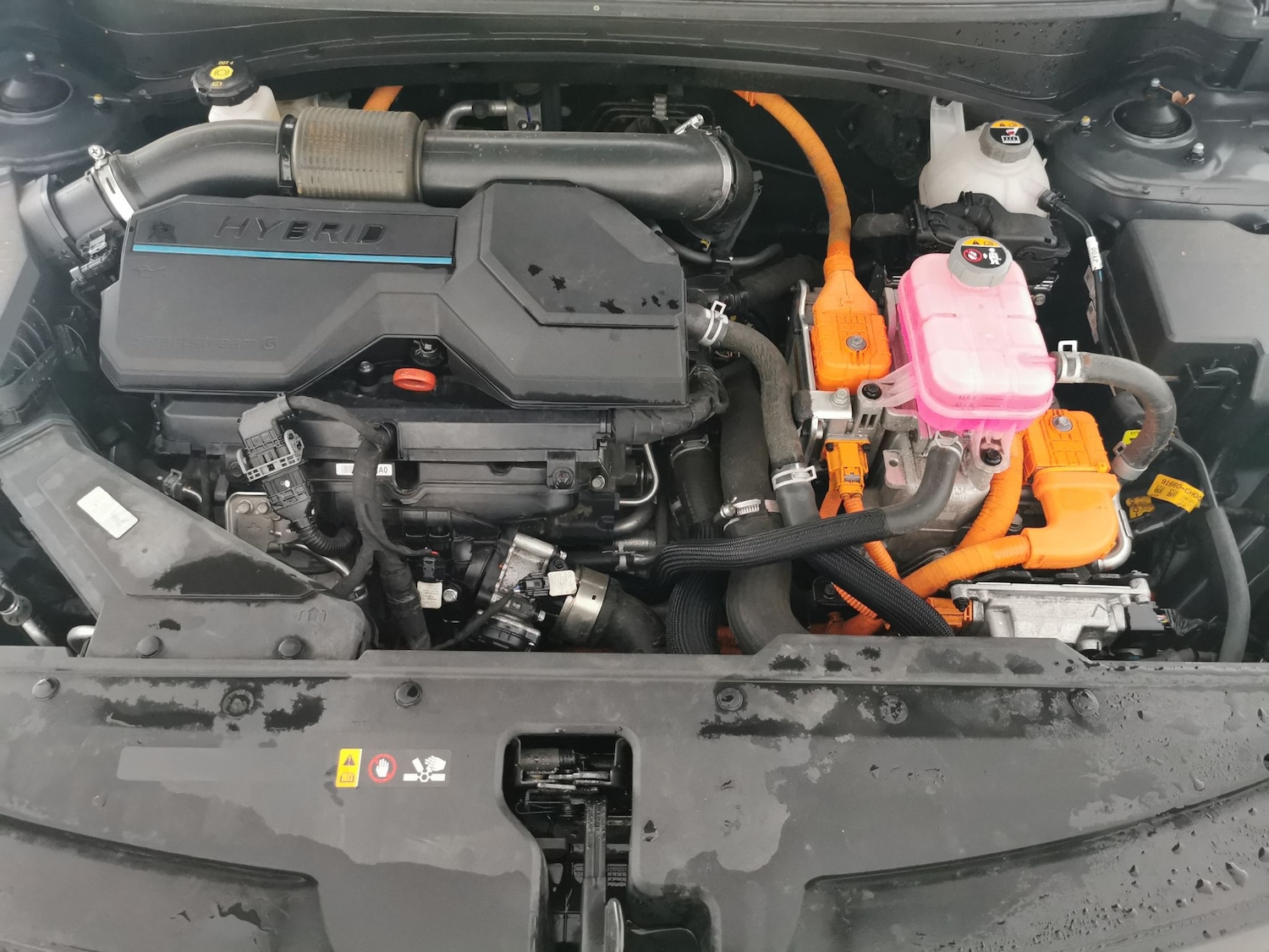 Used Kia Sportage 2022 for sale - 76750373: Photo 33