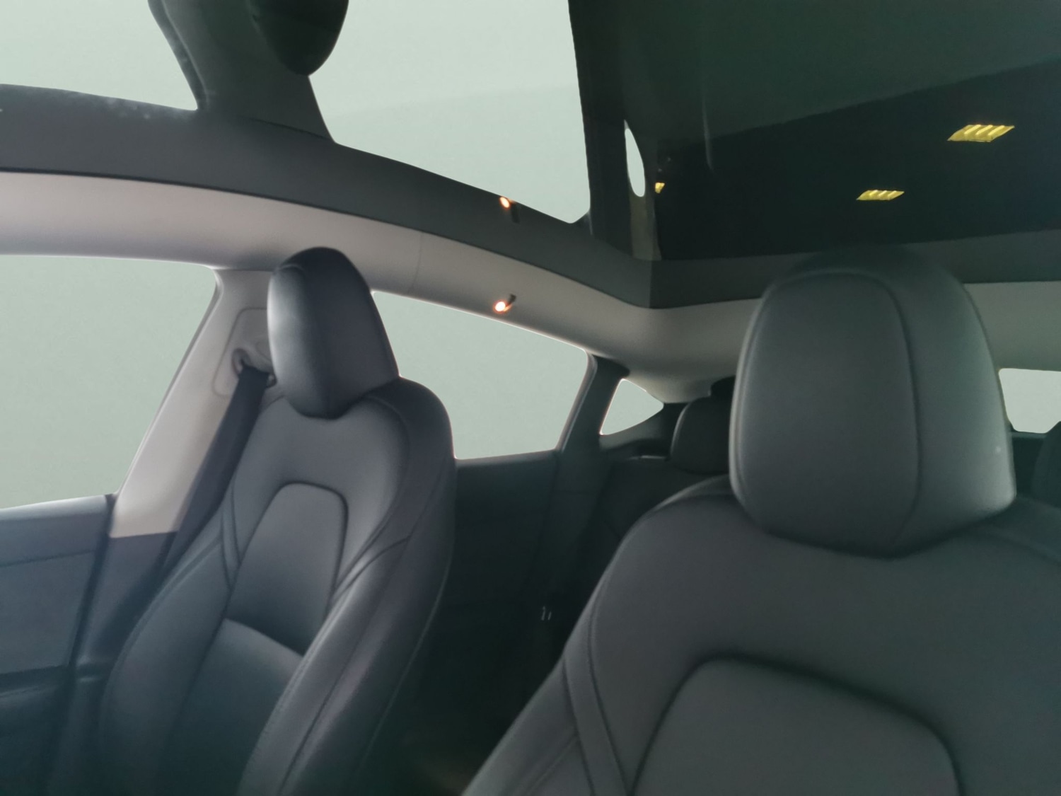 Used Tesla Model Y for sale - 77311142: Photo 5