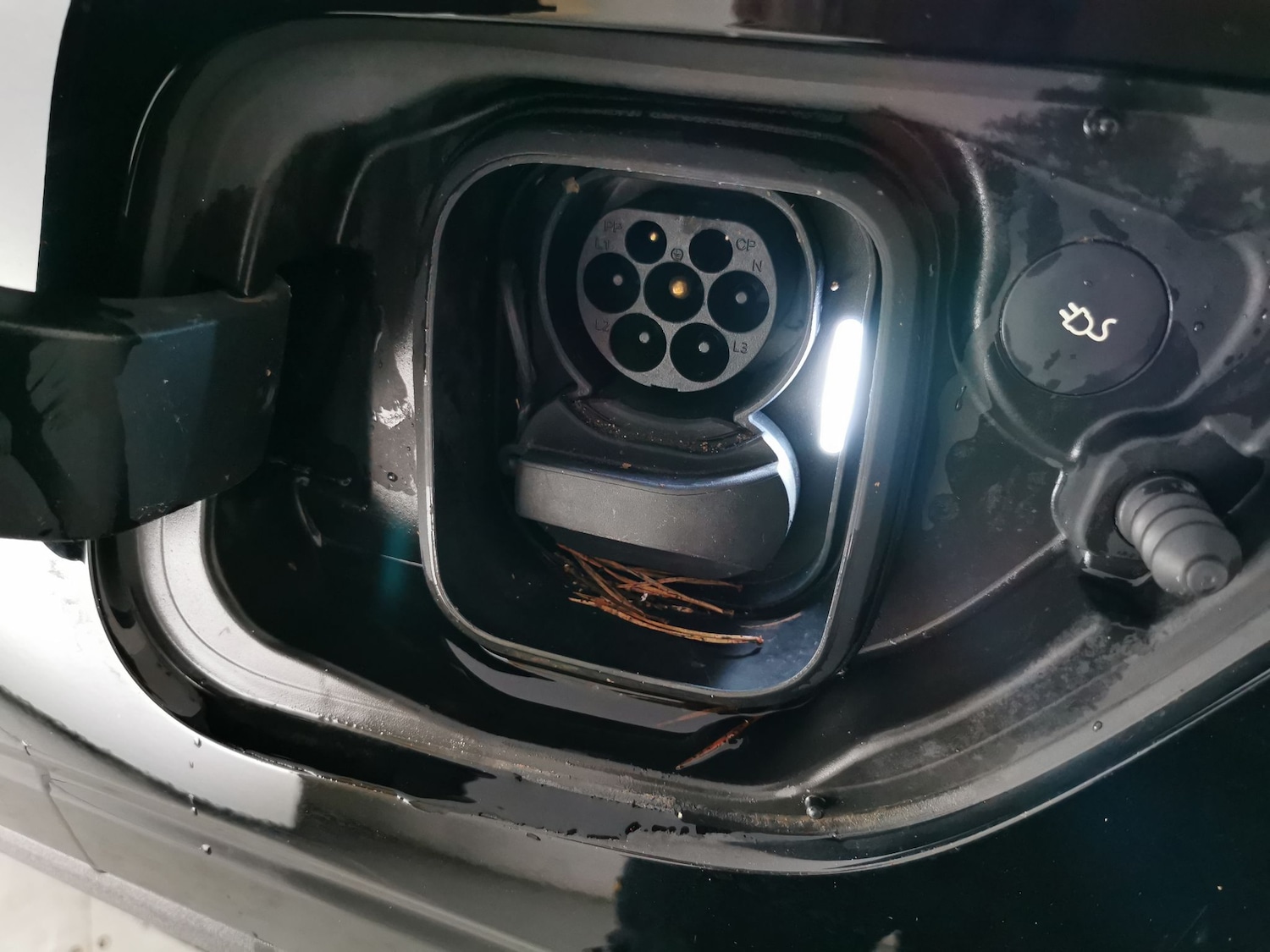 Used Polestar Polestar 2 2023 for sale - 77732937: Photo 33