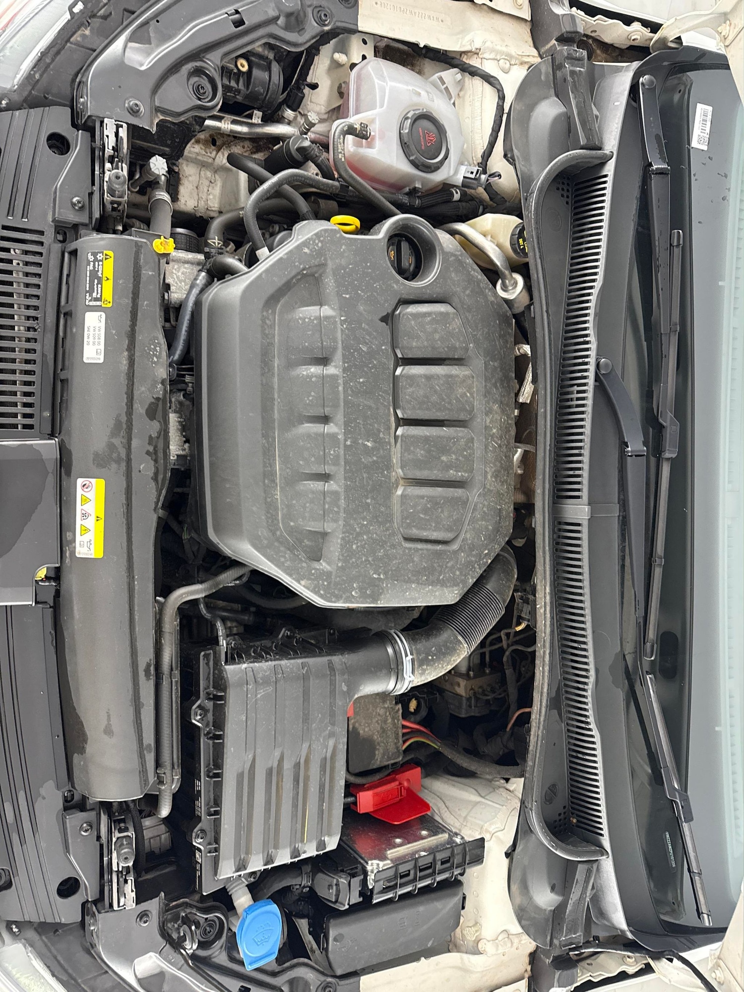 Used Volkswagen Polo 2023 for sale - 77196276: Photo 31