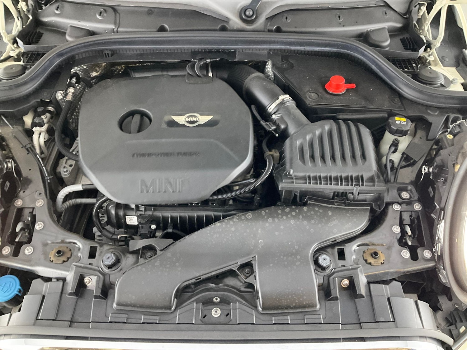 Used MINI Convertible 2016 for sale - 76379172: Photo 39