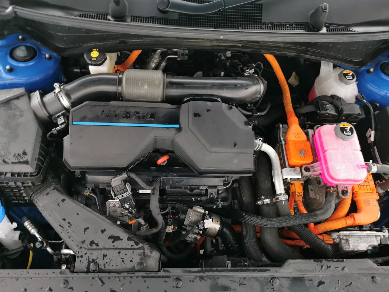 Used Kia Sportage 2024 for sale - 77318376: Photo 35