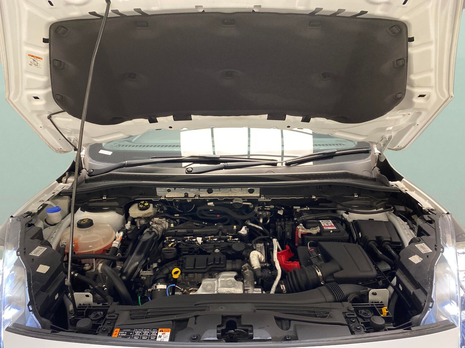 Used Ford Kuga 2022 for sale - 78129465: Photo 33