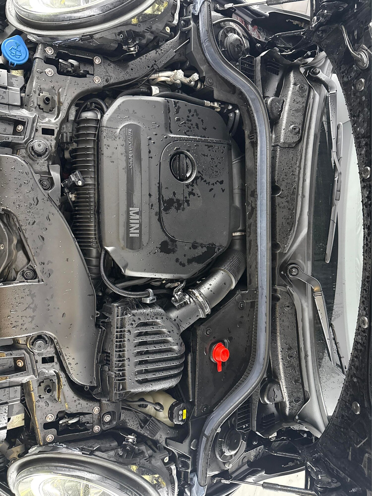 Used MINI Hatch for sale - 77208084: Photo 30