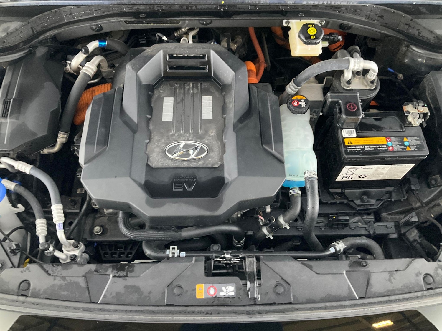 Used Hyundai IONIQ 2021 for sale - 76709895: Photo 38