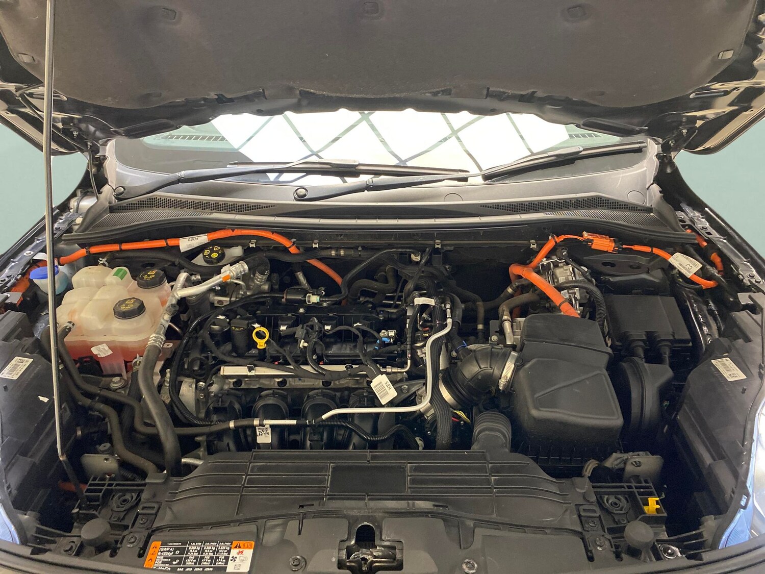 Used Ford Kuga 2022 for sale - 77743366: Photo 31