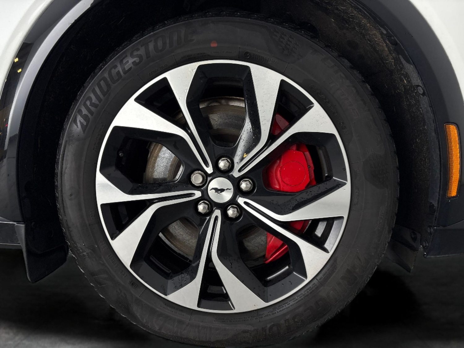 Used Ford Mustang Mach-E 2024 for sale - 77392478: Photo 38