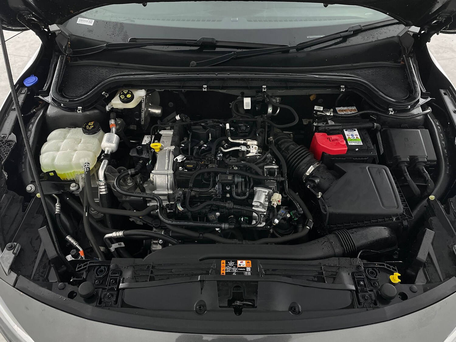 Used Ford Focus 2024 for sale - 77398758: Photo 38