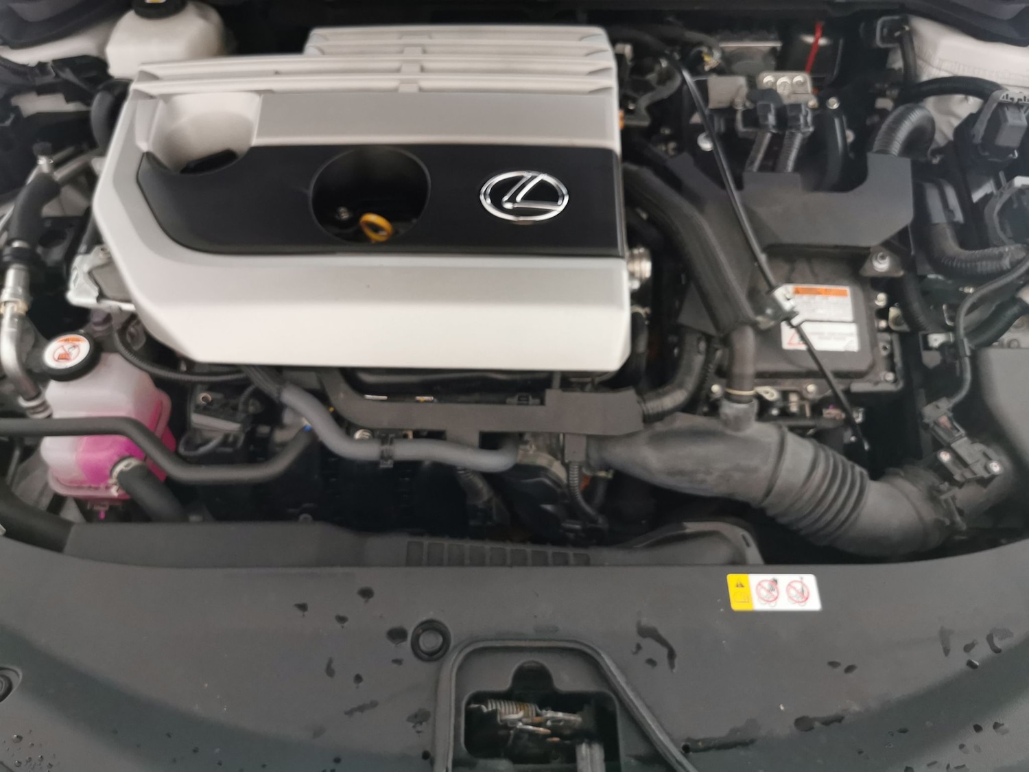 Used Lexus UX 2023 for sale - 77180474: Photo 32