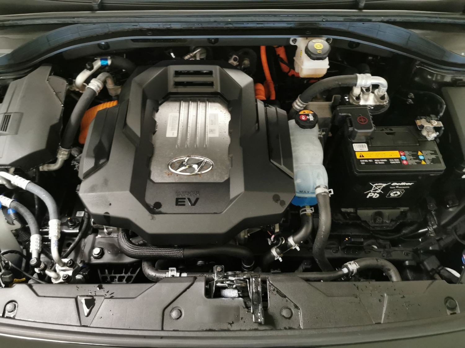 Used Hyundai IONIQ for sale - 78110014: Photo 37