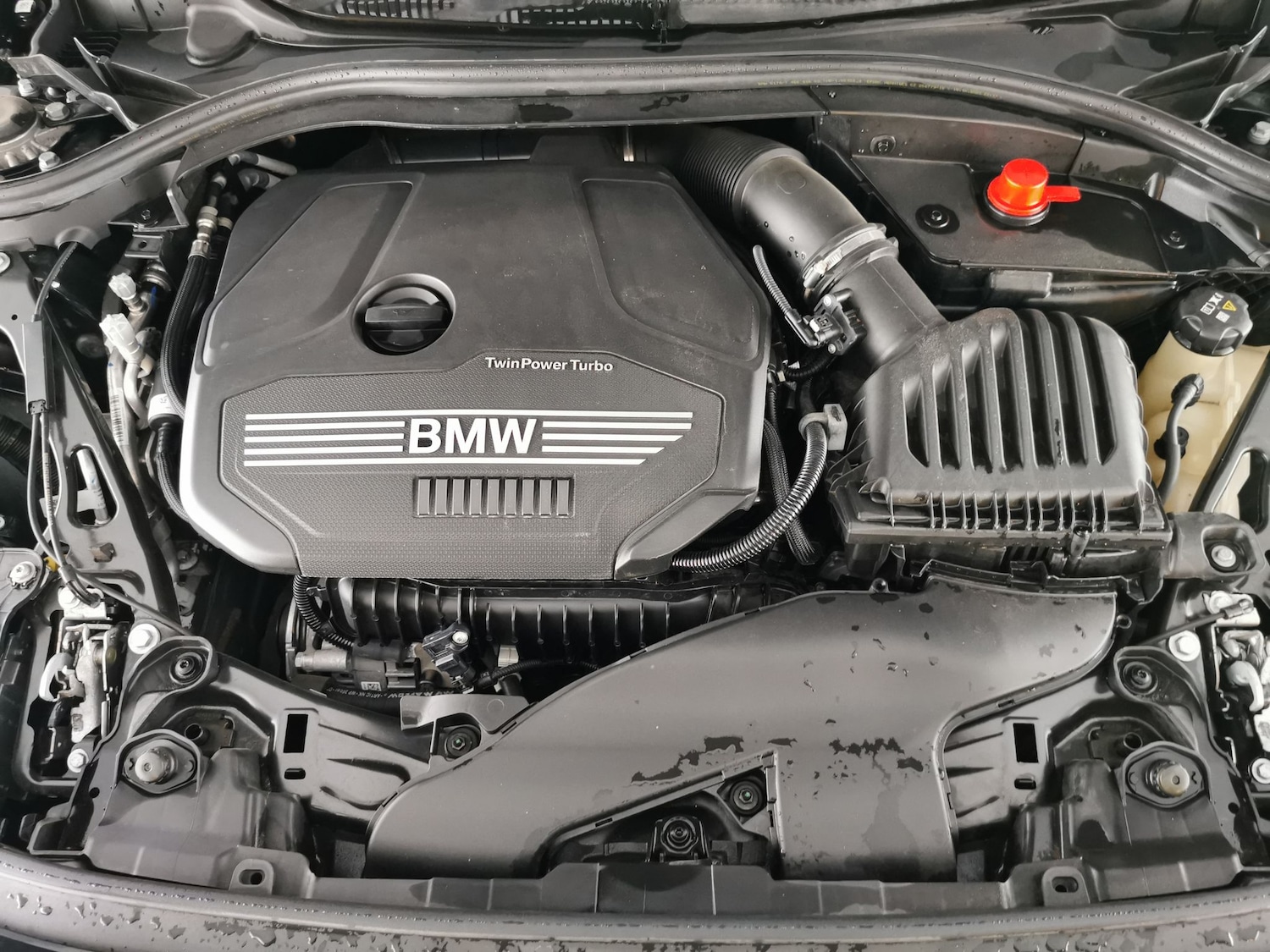 Used BMW 1 Series 2022 for sale - 77274197: Photo 30