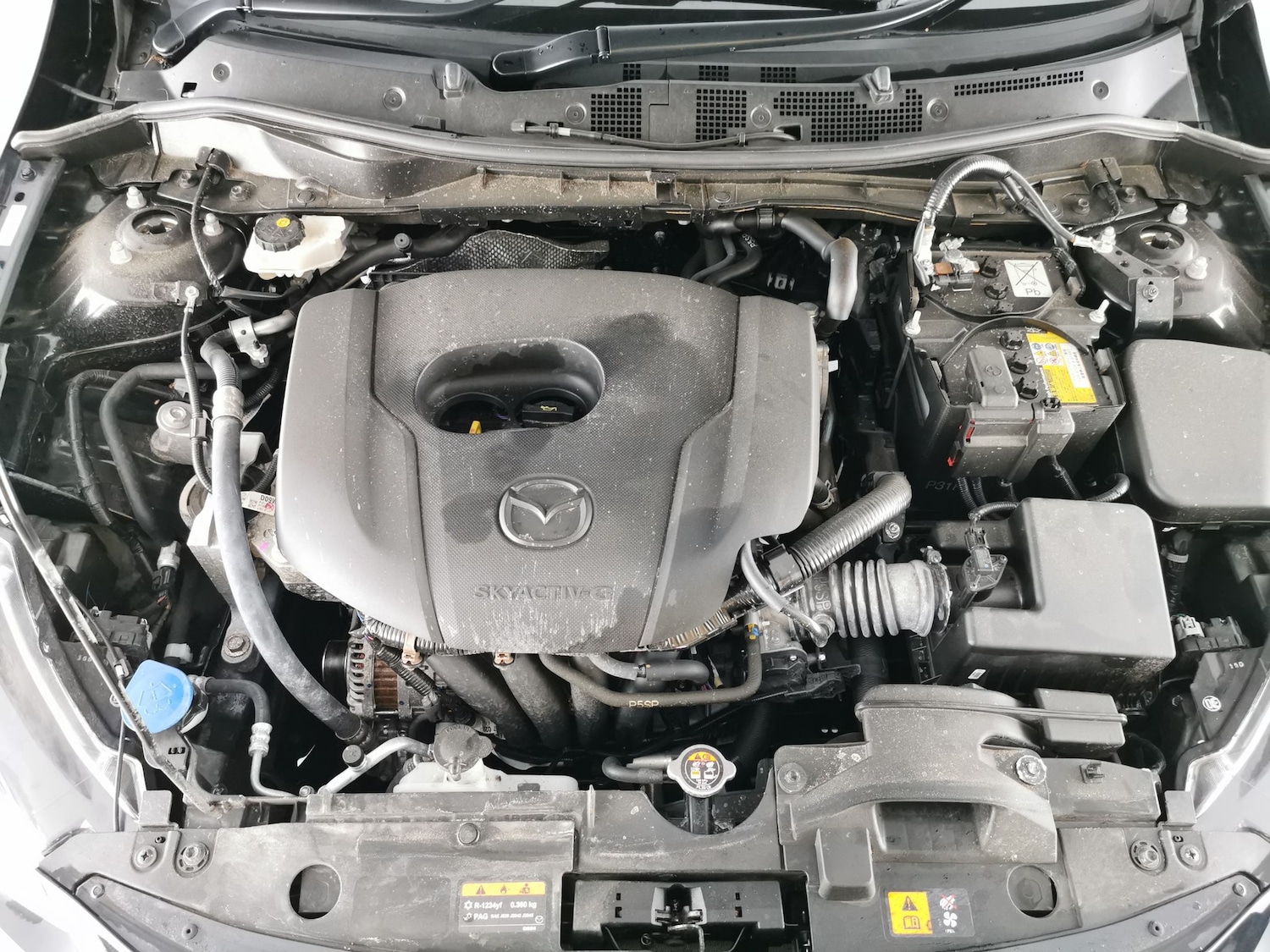 Used Mazda Mazda2 2022 for sale - 77113899: Photo 30