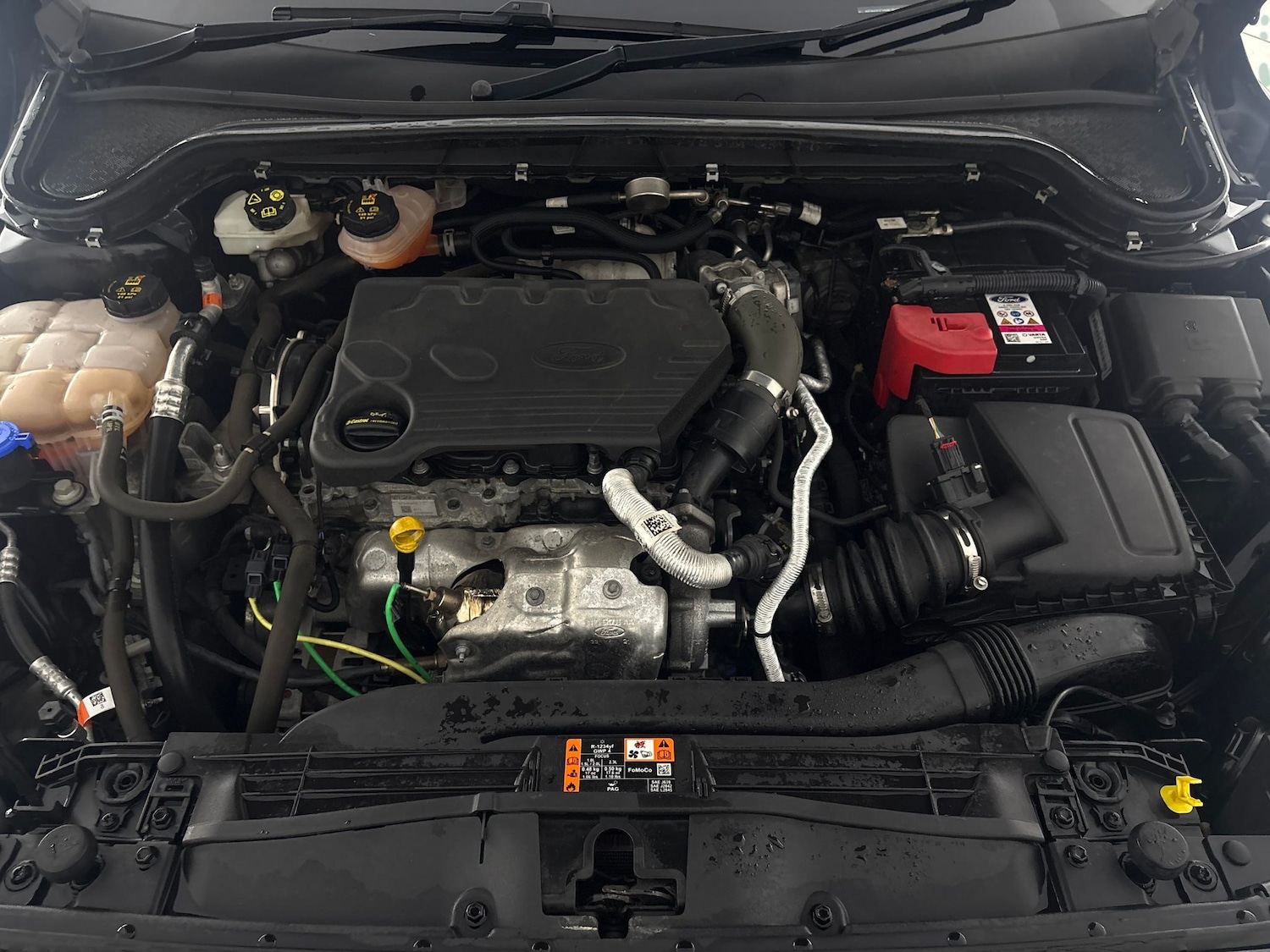 Used Ford Focus for sale - 77023828: Photo 33