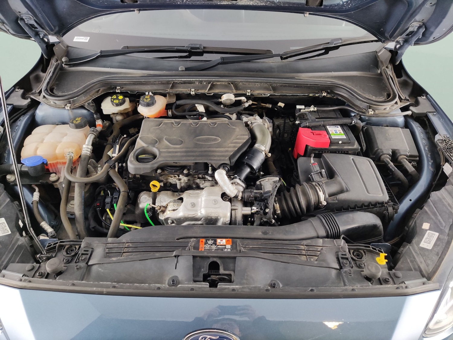 Used Ford Focus 2019 for sale - 78180693: Photo 35