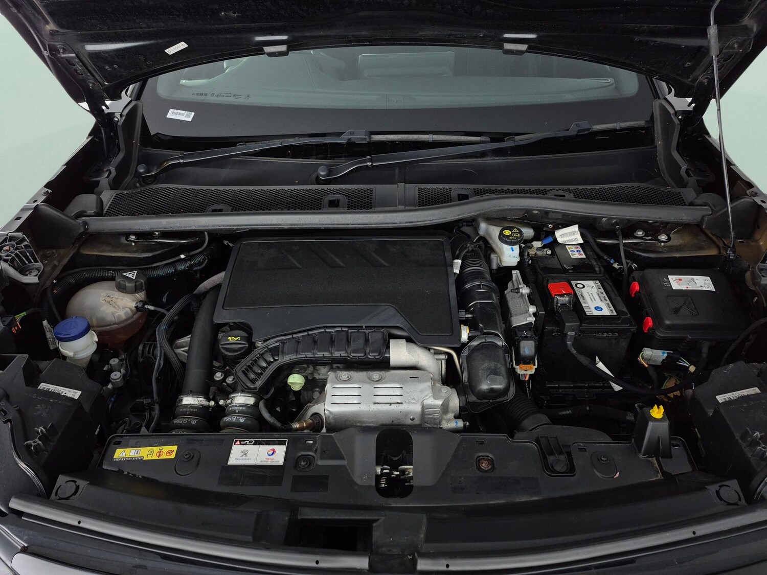 Used Peugeot 2008 2022 for sale - 78140024: Photo 39