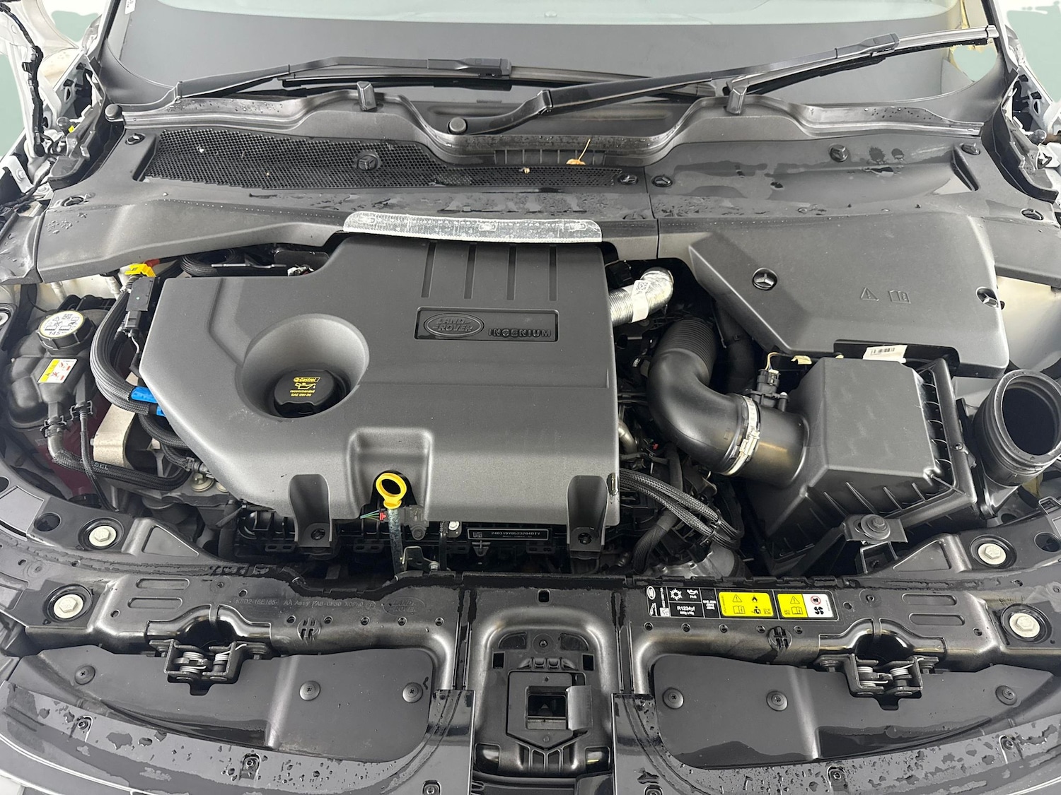 Used Land Rover Range Rover Evoque 2024 for sale - 77746498: Photo 34