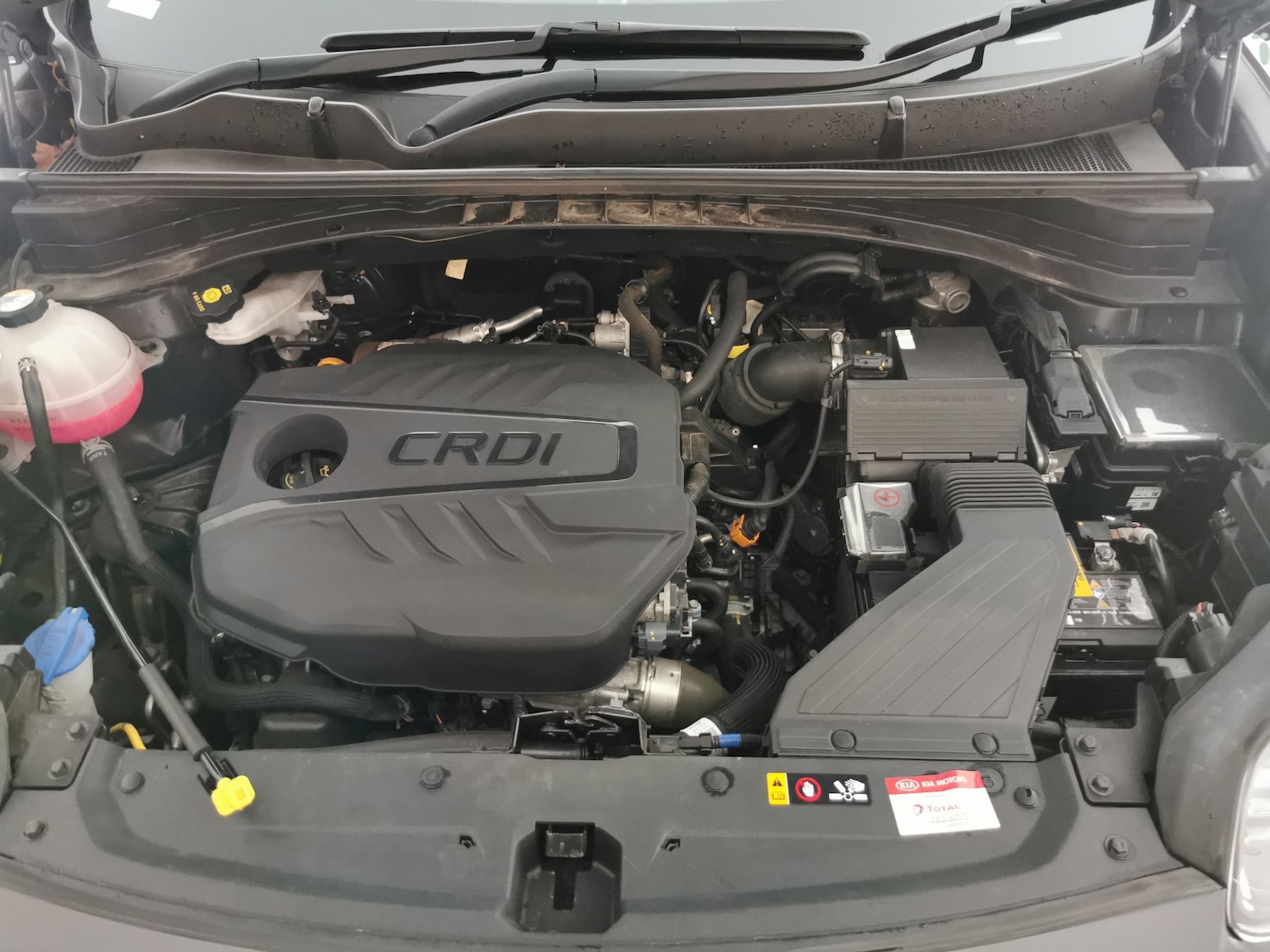 Used Kia Sportage 2022 for sale - 78065482: Photo 31