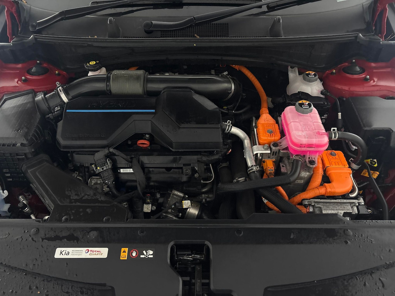 Used Kia Sportage 2024 for sale - 77046066: Photo 35