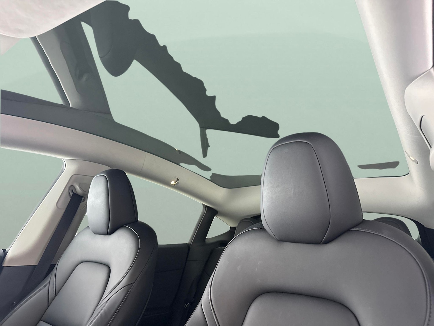 Used Tesla Model Y 2024 for sale - 77846131: Photo 5