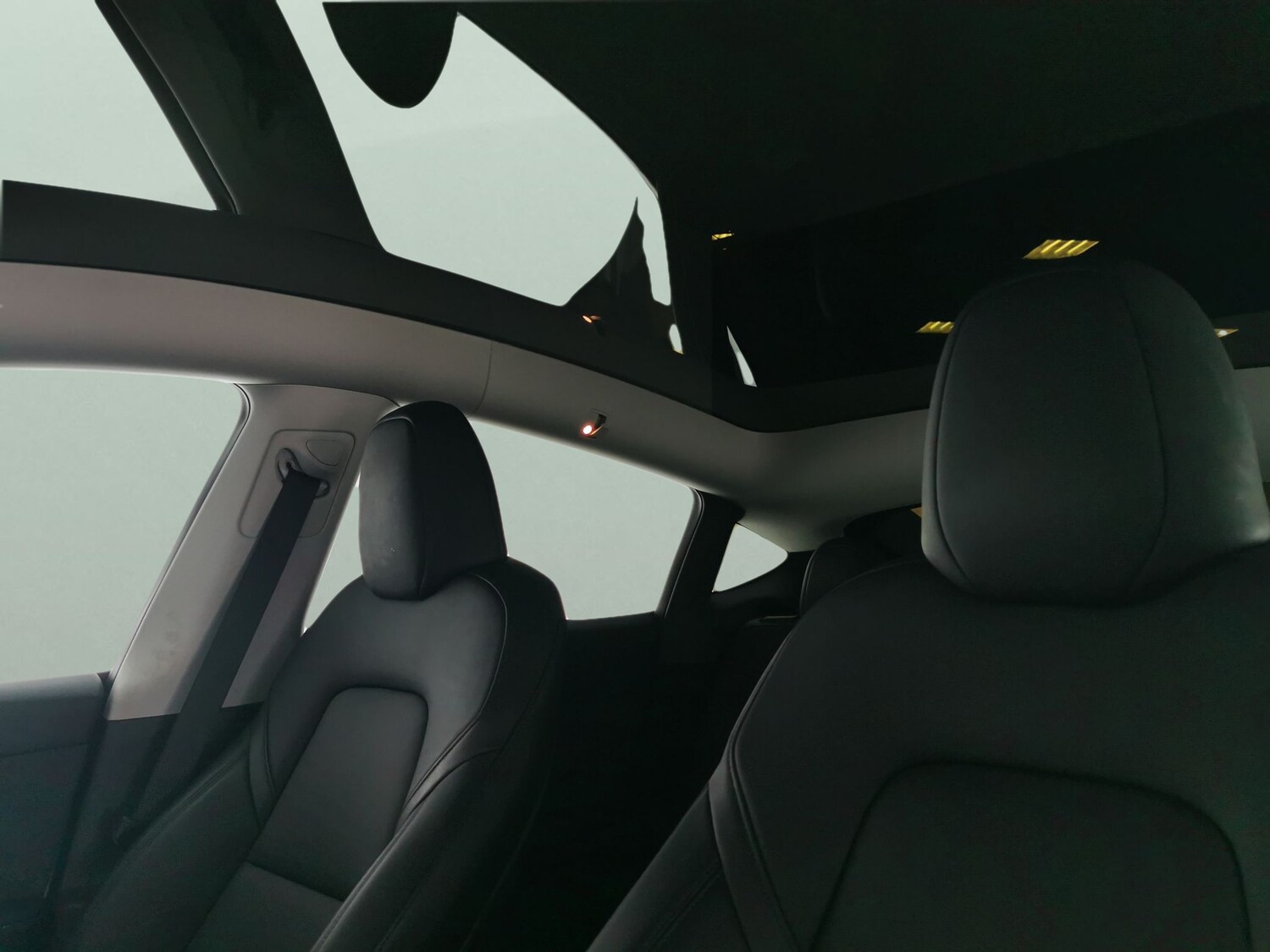 Used Tesla Model Y for sale - 77003117: Photo 5