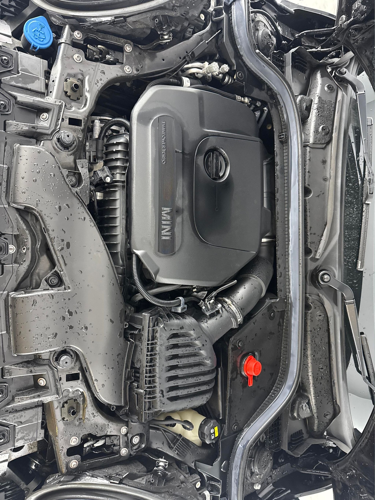 Used MINI Hatch 2021 for sale - 77760374: Photo 31