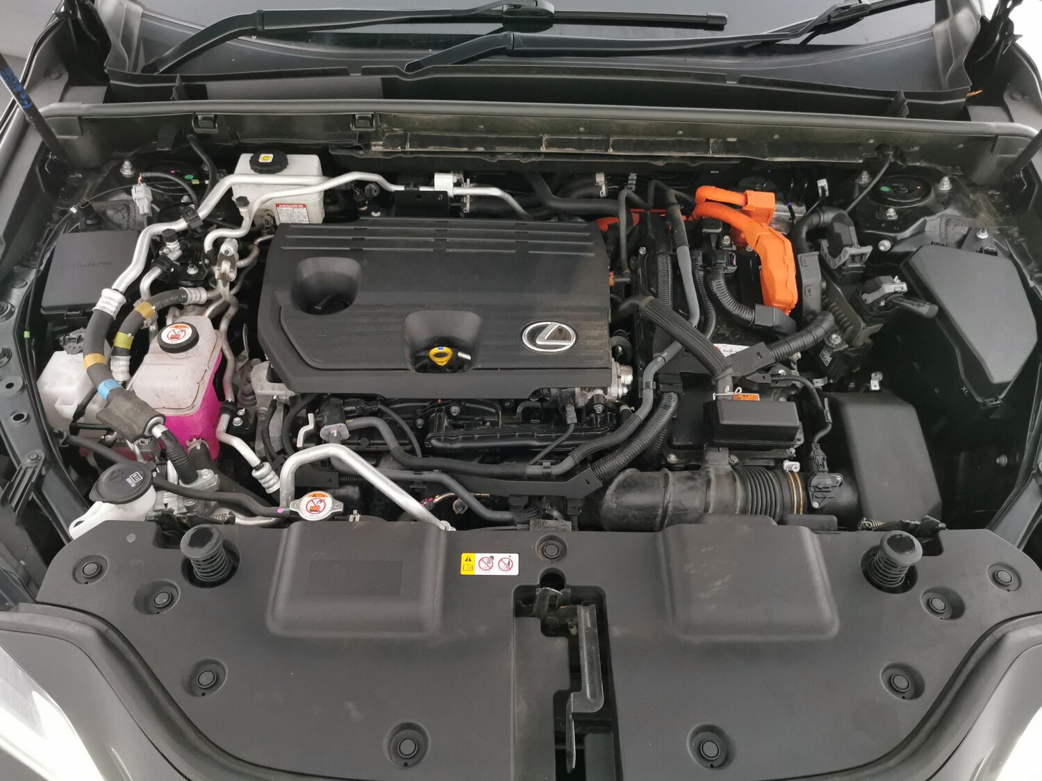 Used Lexus NX 2022 for sale - 77600891: Photo 35