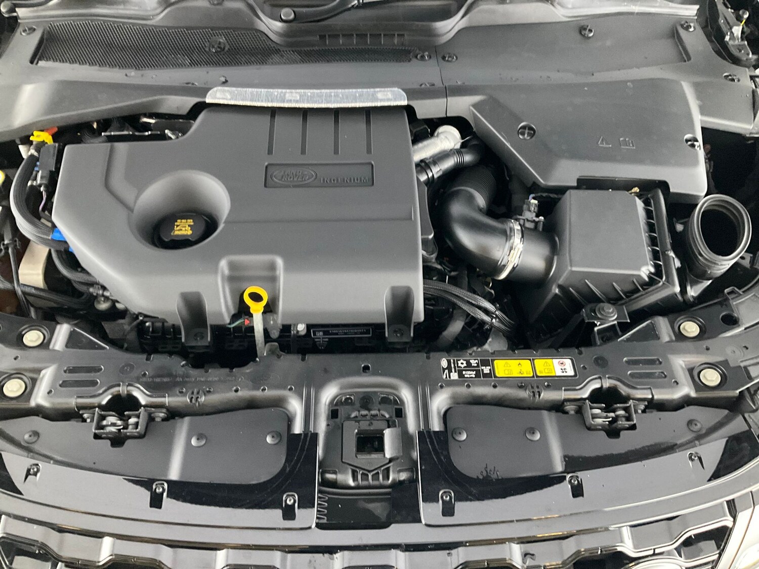 Vehicle 44