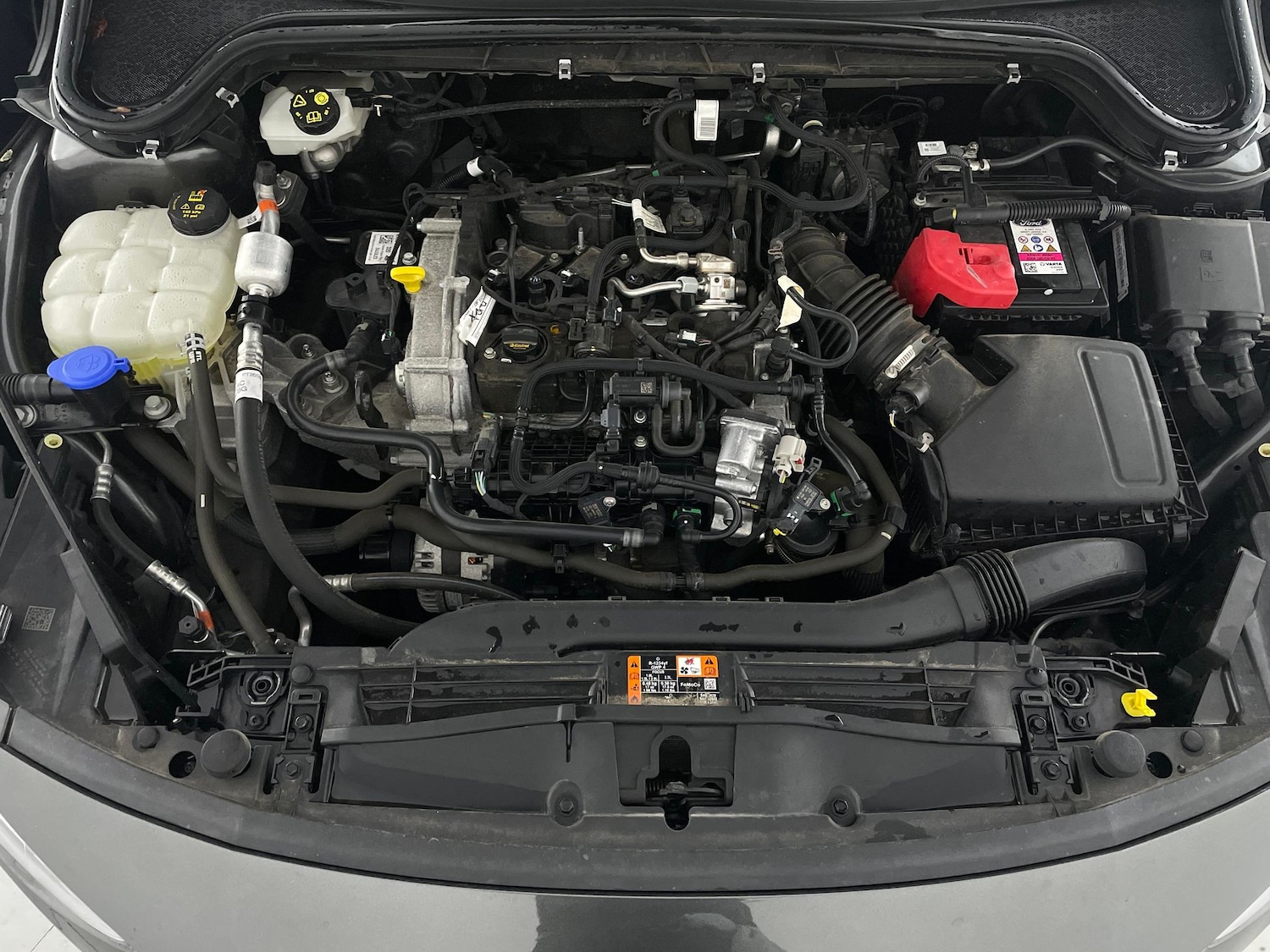 Used Ford Focus 2023 for sale - 76588922: Photo 39