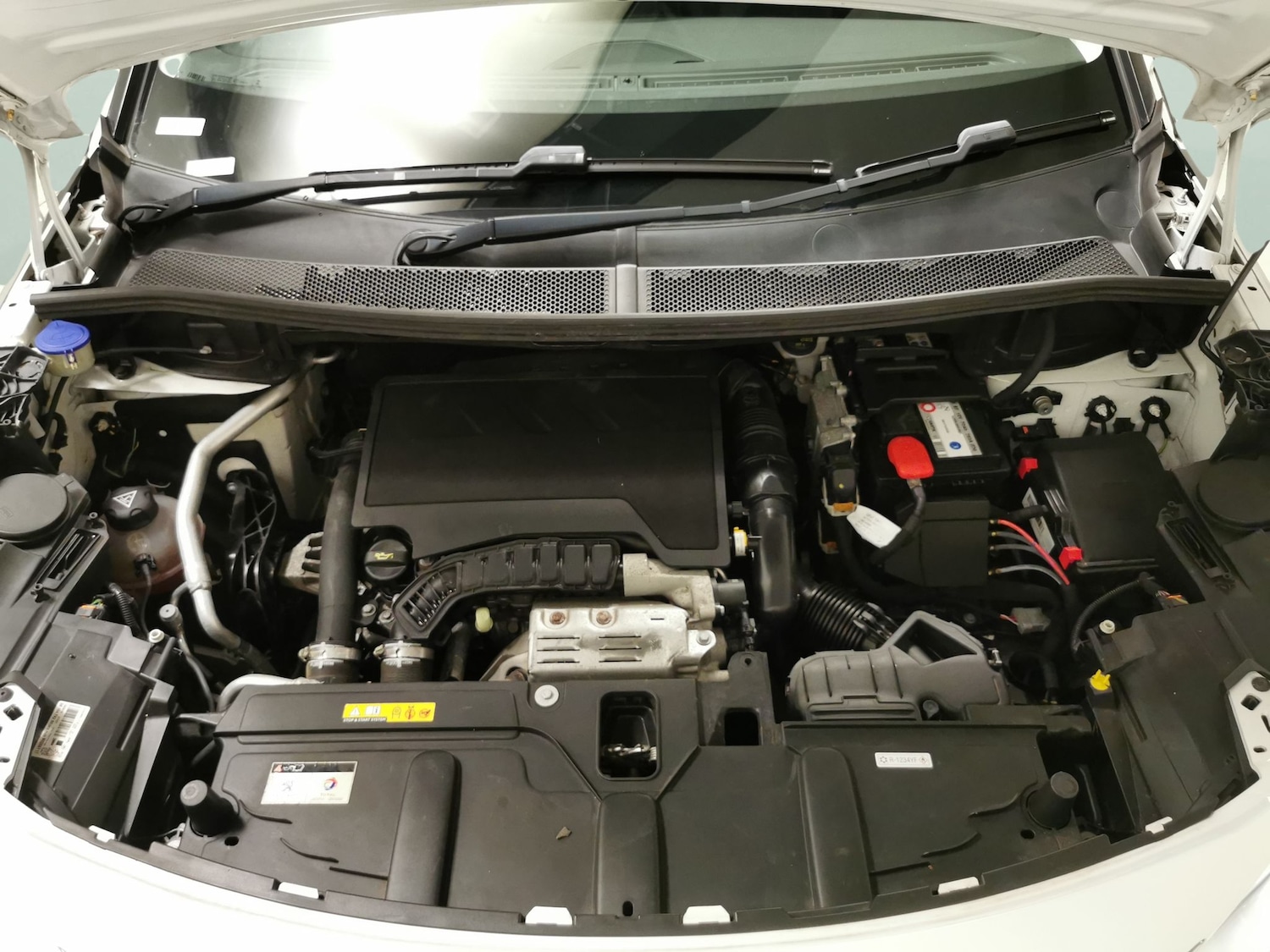 Used Toyota RAV4 2023 for sale - 77418041: Photo 31