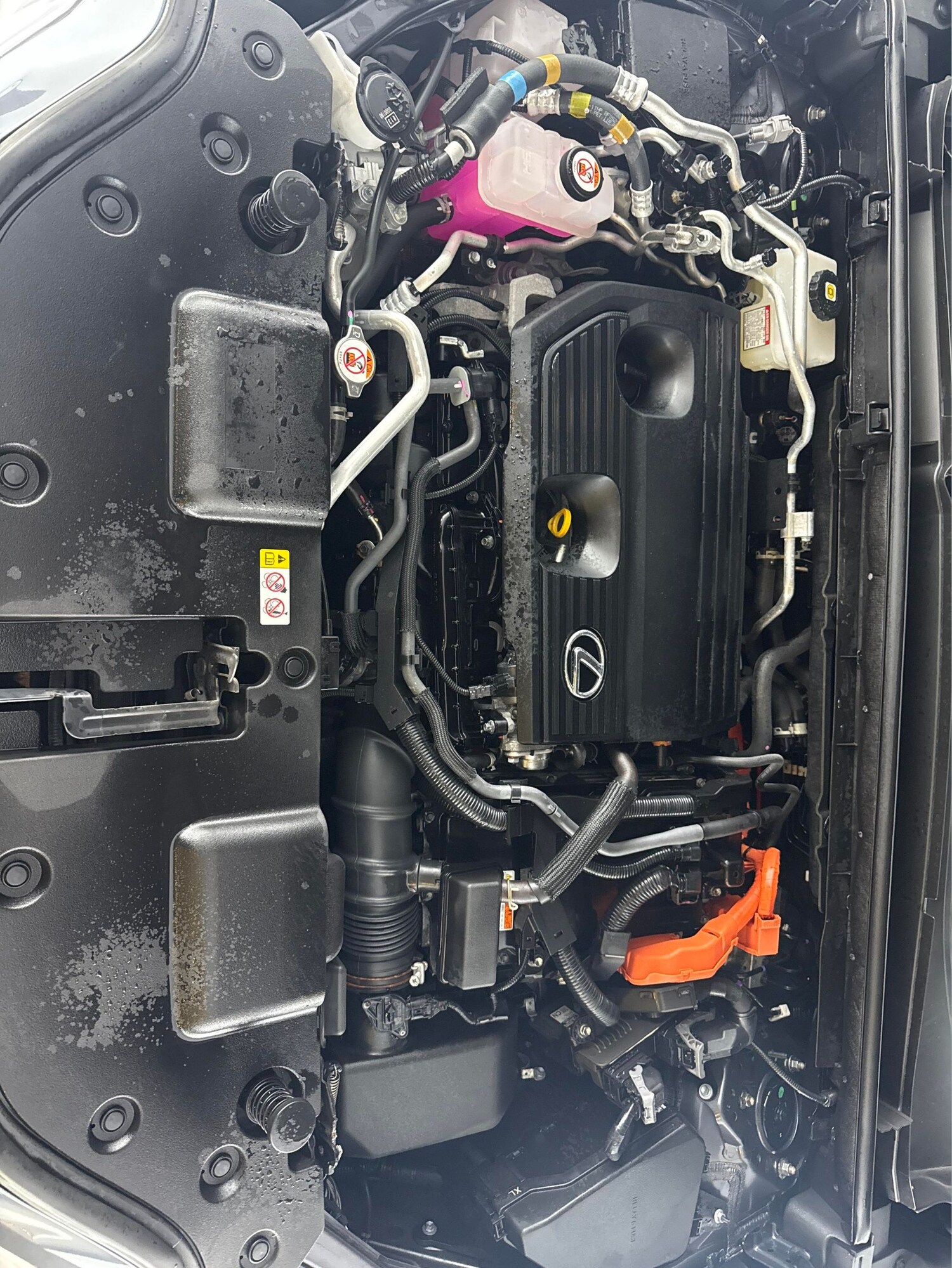 Used Lexus NX 2023 for sale - 77902144: Photo 39