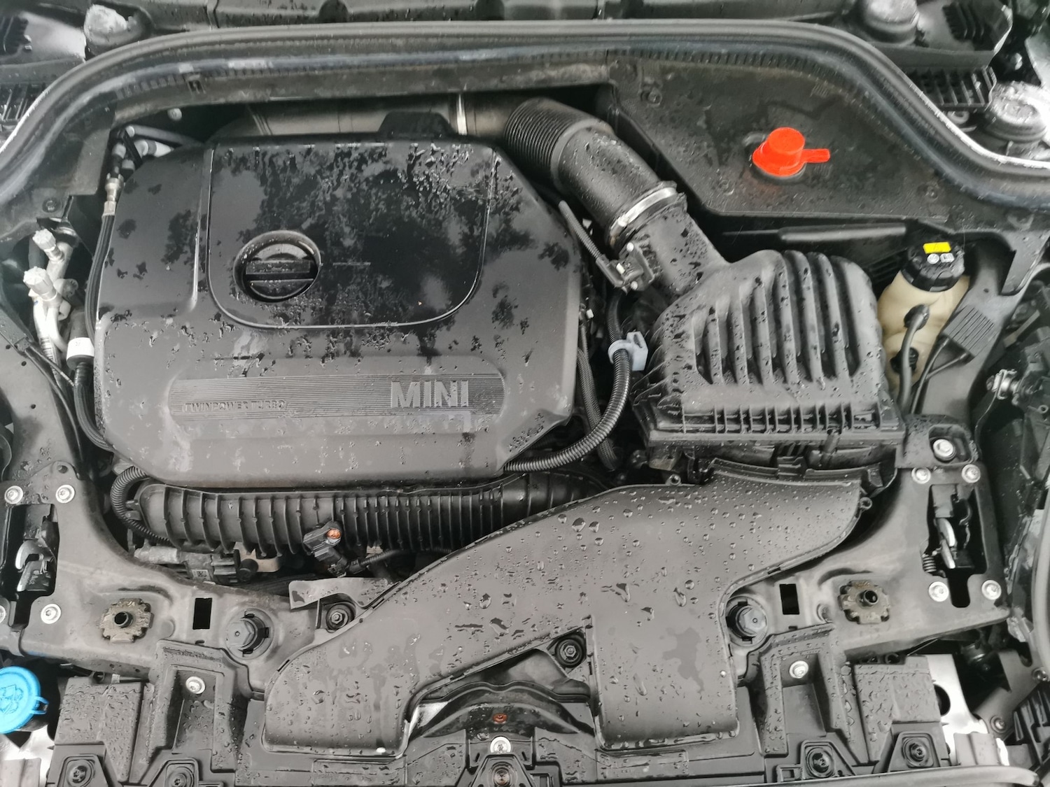 Used MINI Hatch 2022 for sale - 77127901: Photo 29