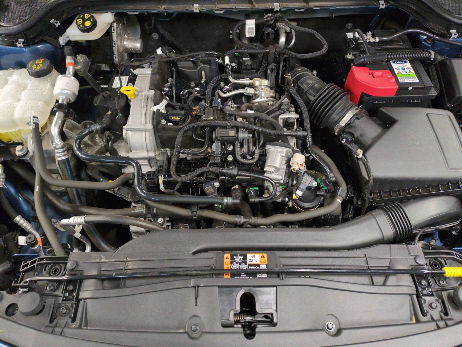 Used Ford Focus 2024 for sale - 77789975: Photo 32