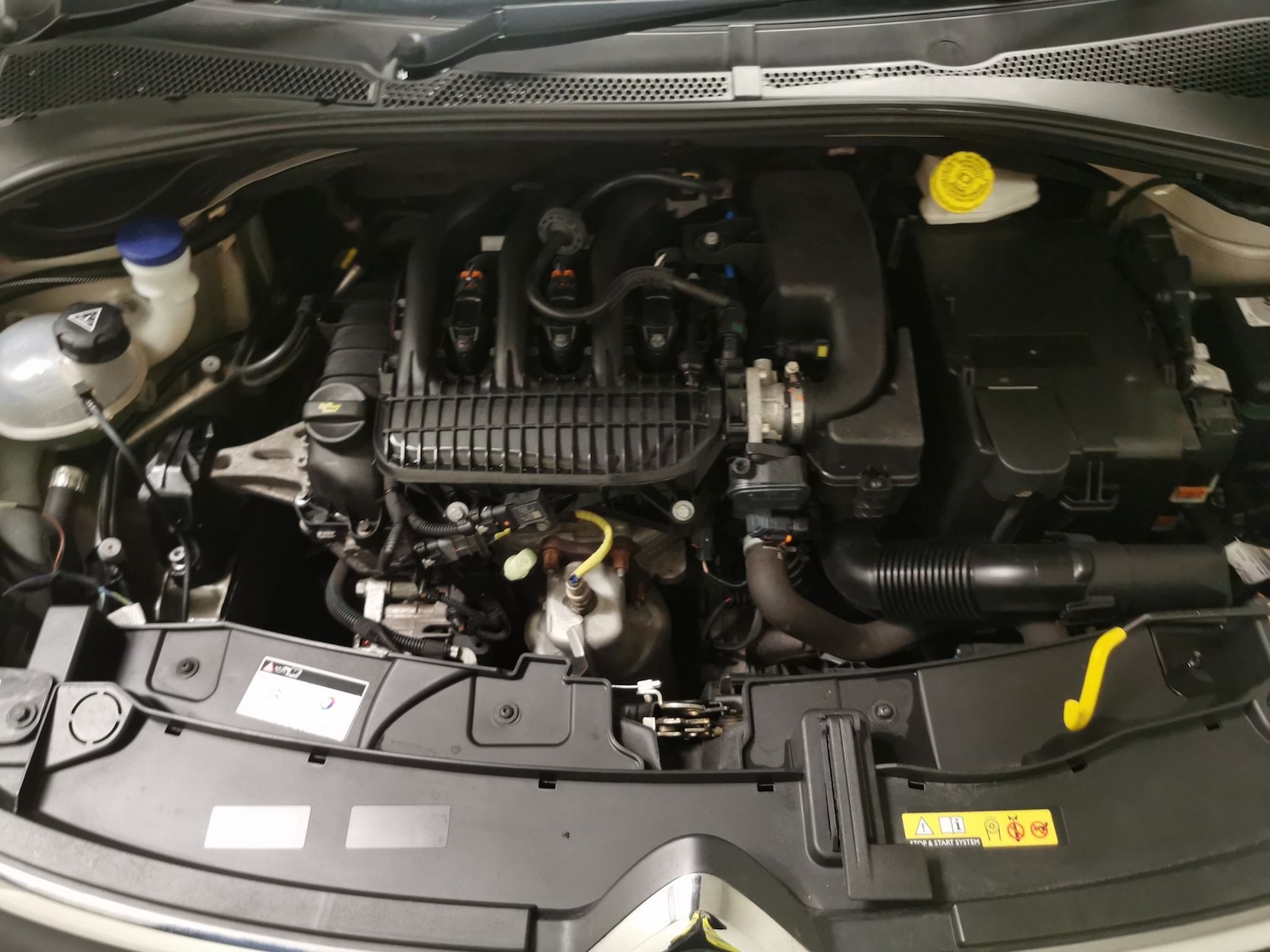 Used Citroen C3 2022 for sale - 77988746: Photo 31