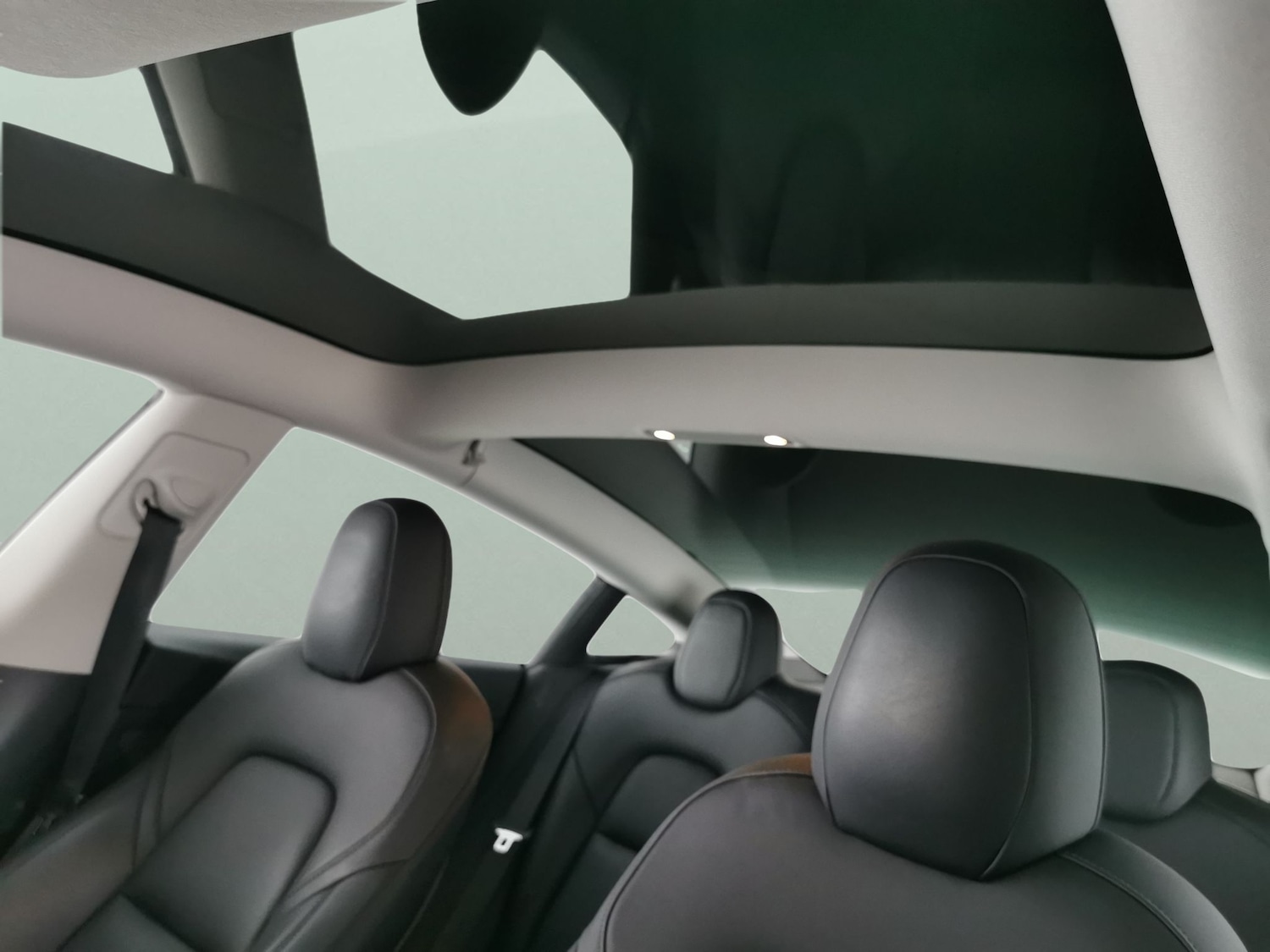 Used Tesla Model 3 2021 for sale - 77019342: Photo 5