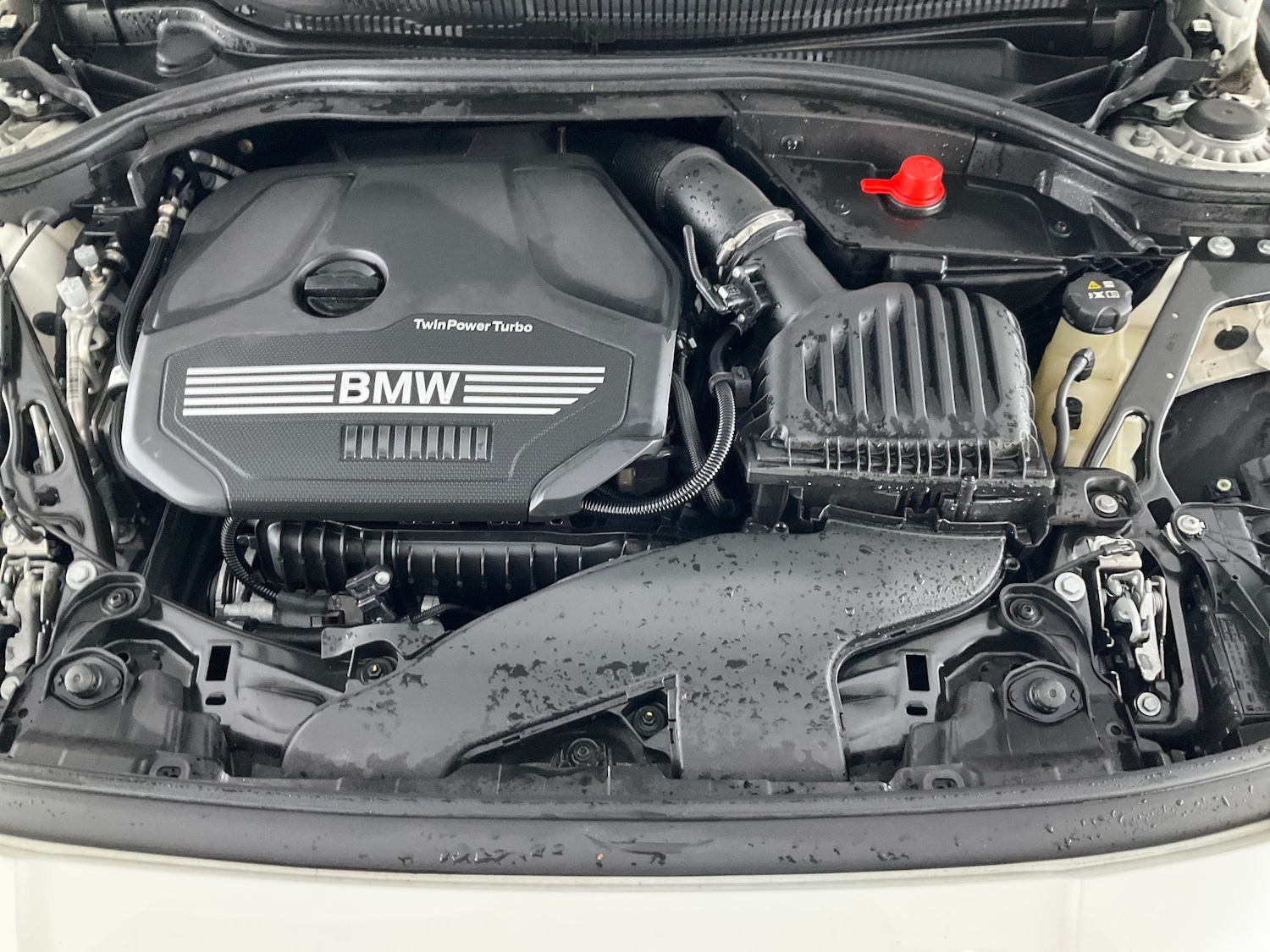 Used BMW 1 Series 2024 for sale - 76171437: Photo 42