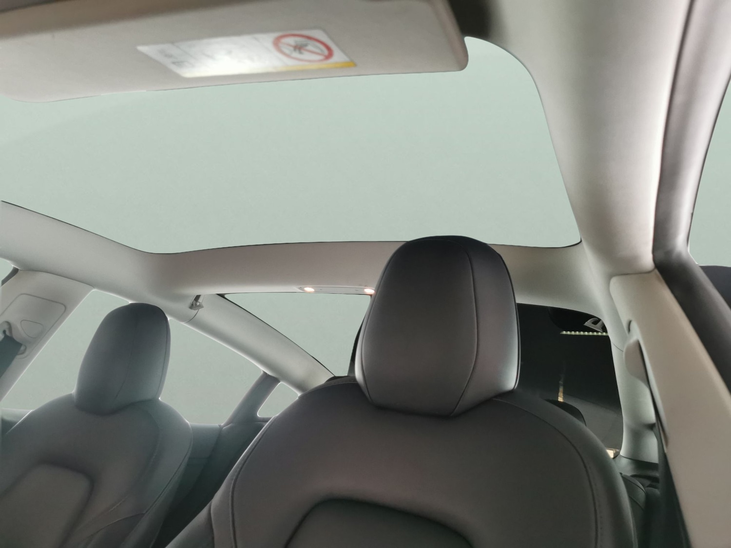 Used Tesla Model 3 2021 for sale - 77493011: Photo 5