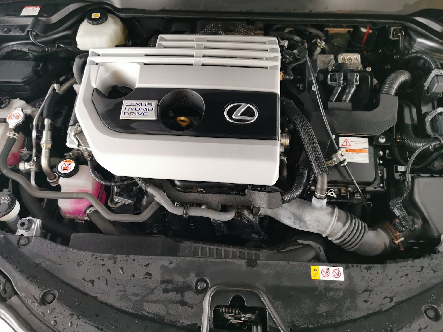 Used Lexus UX 2021 for sale - 77542904: Photo 32