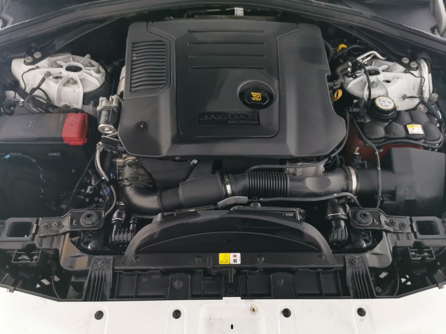 Used Jaguar F-Pace 2023 for sale - 77053470: Photo 39