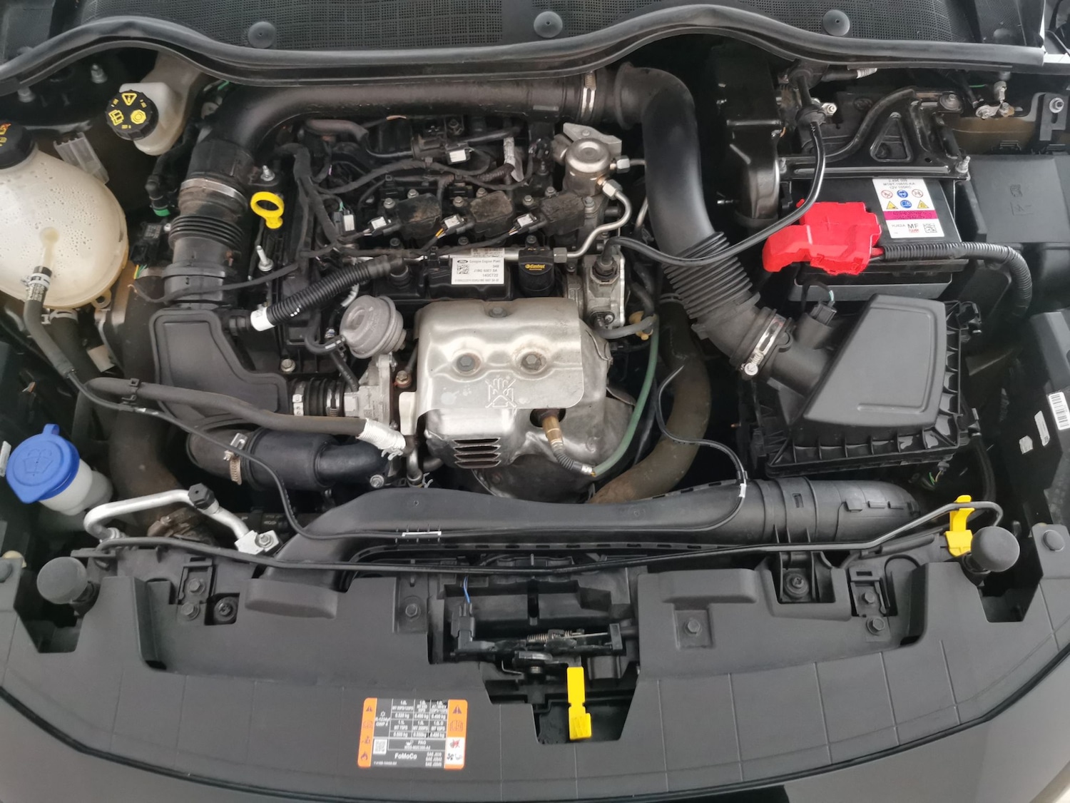 Used Ford Fiesta 2023 for sale - 78095566: Photo 34