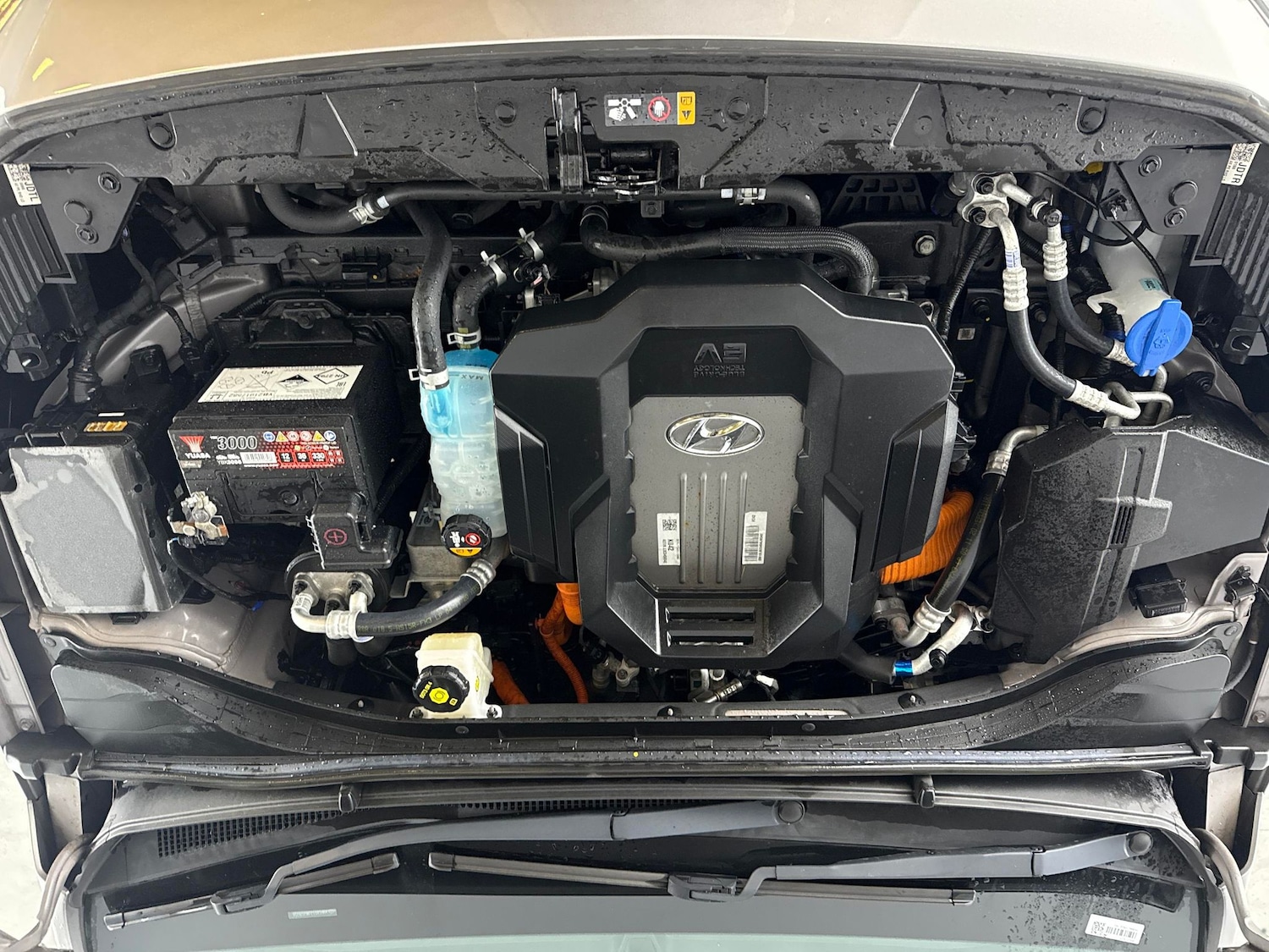 Used Hyundai IONIQ 2021 for sale - 77418049: Photo 34