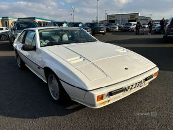 Used Lotus Excel 1986 for sale - 74097335: Photo