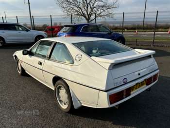 Used Lotus Excel 1986 for sale - 74097335: Photo