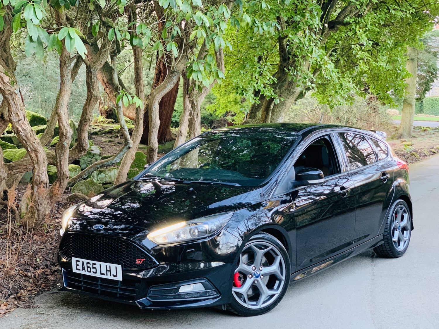 Used Ford Focus 2015 for sale - 77945708: Photo 13