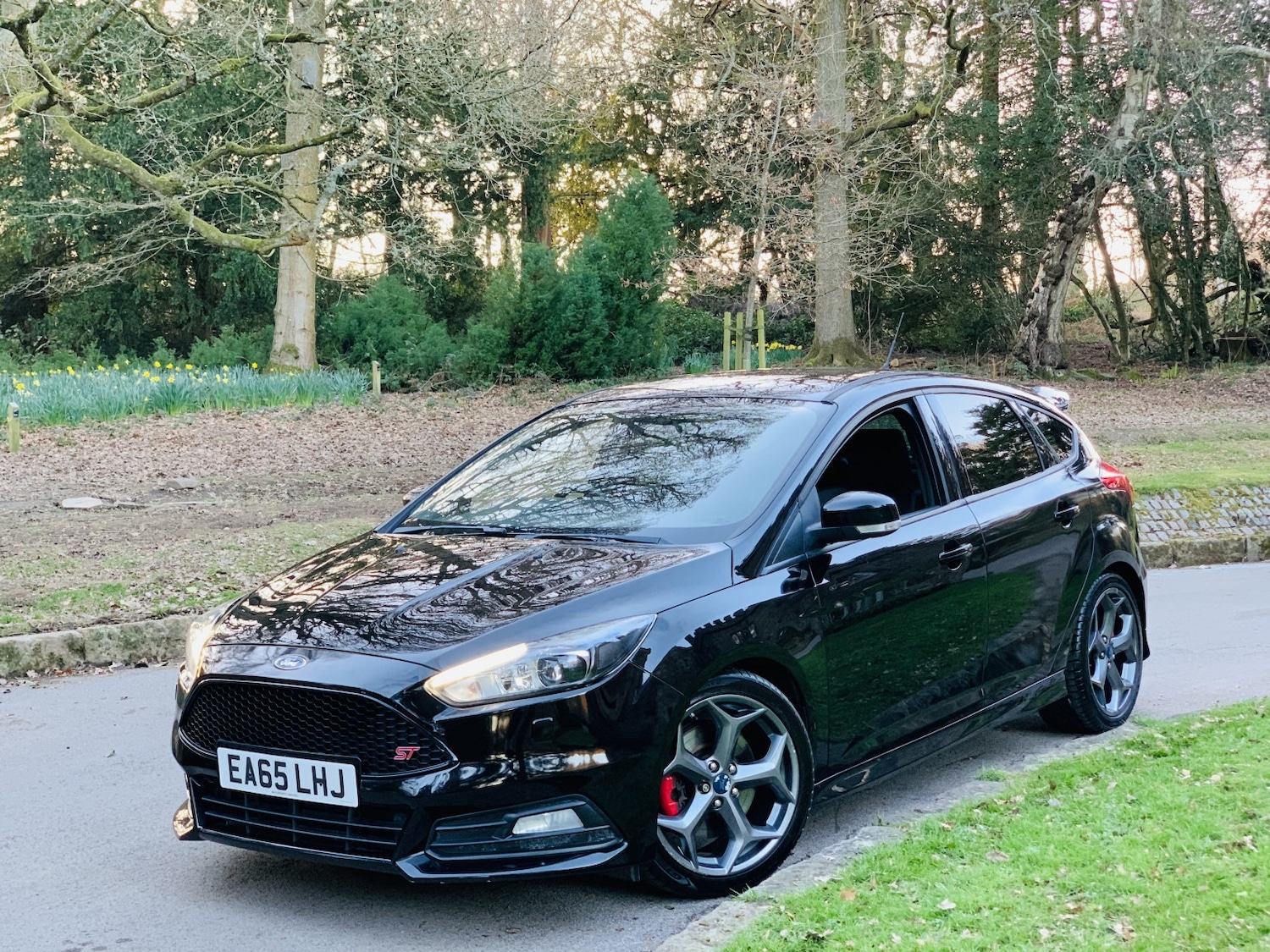 Used Ford Focus 2015 for sale - 77945708: Photo 8