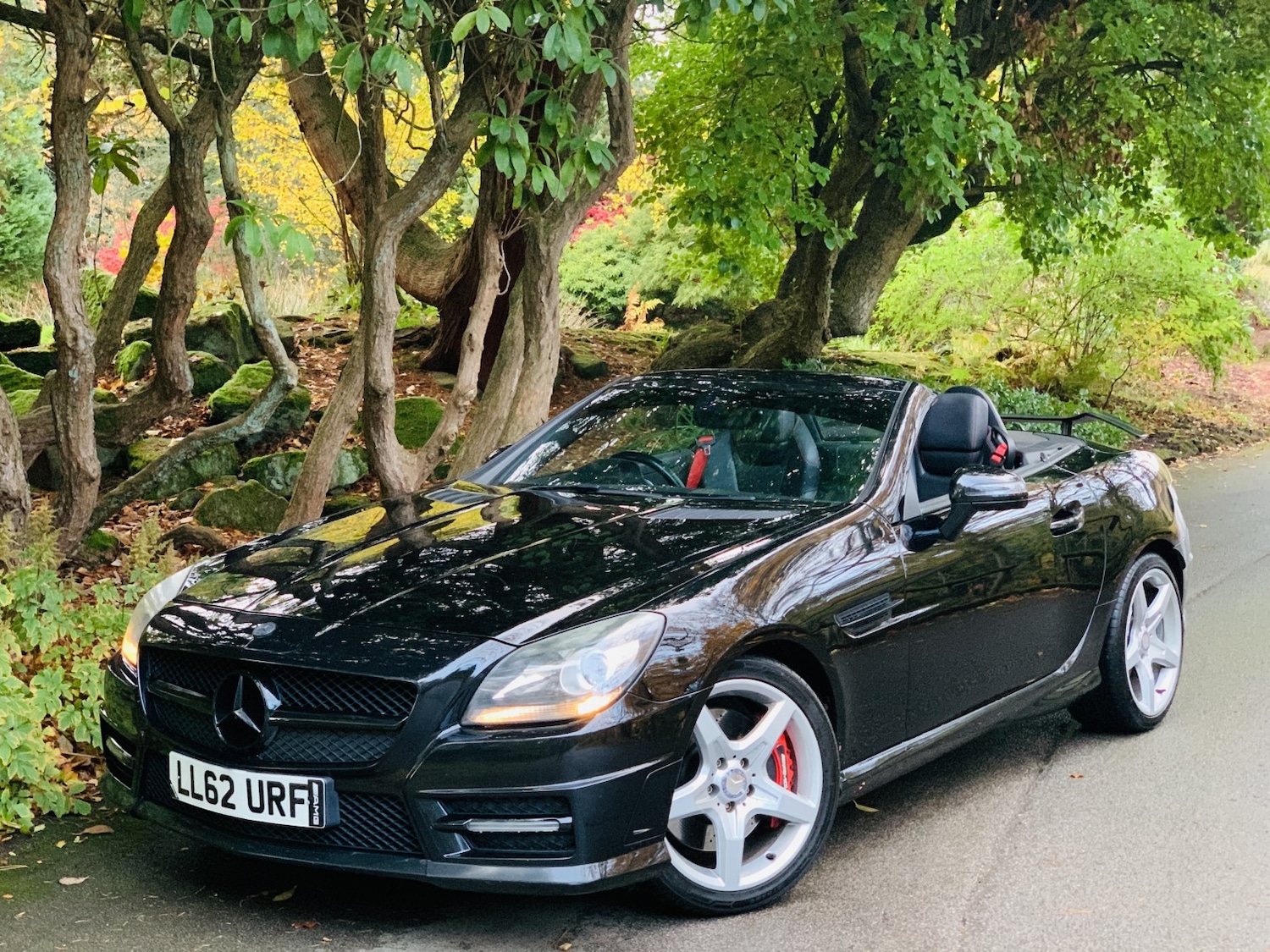 Used Mercedes-Benz SLK 2012 for sale - 76444446: Photo 11