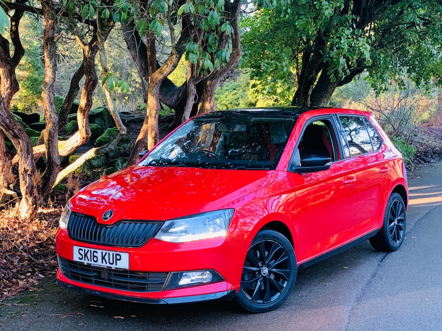 Used Skoda Fabia 2016 for sale - 77135877: Photo 14