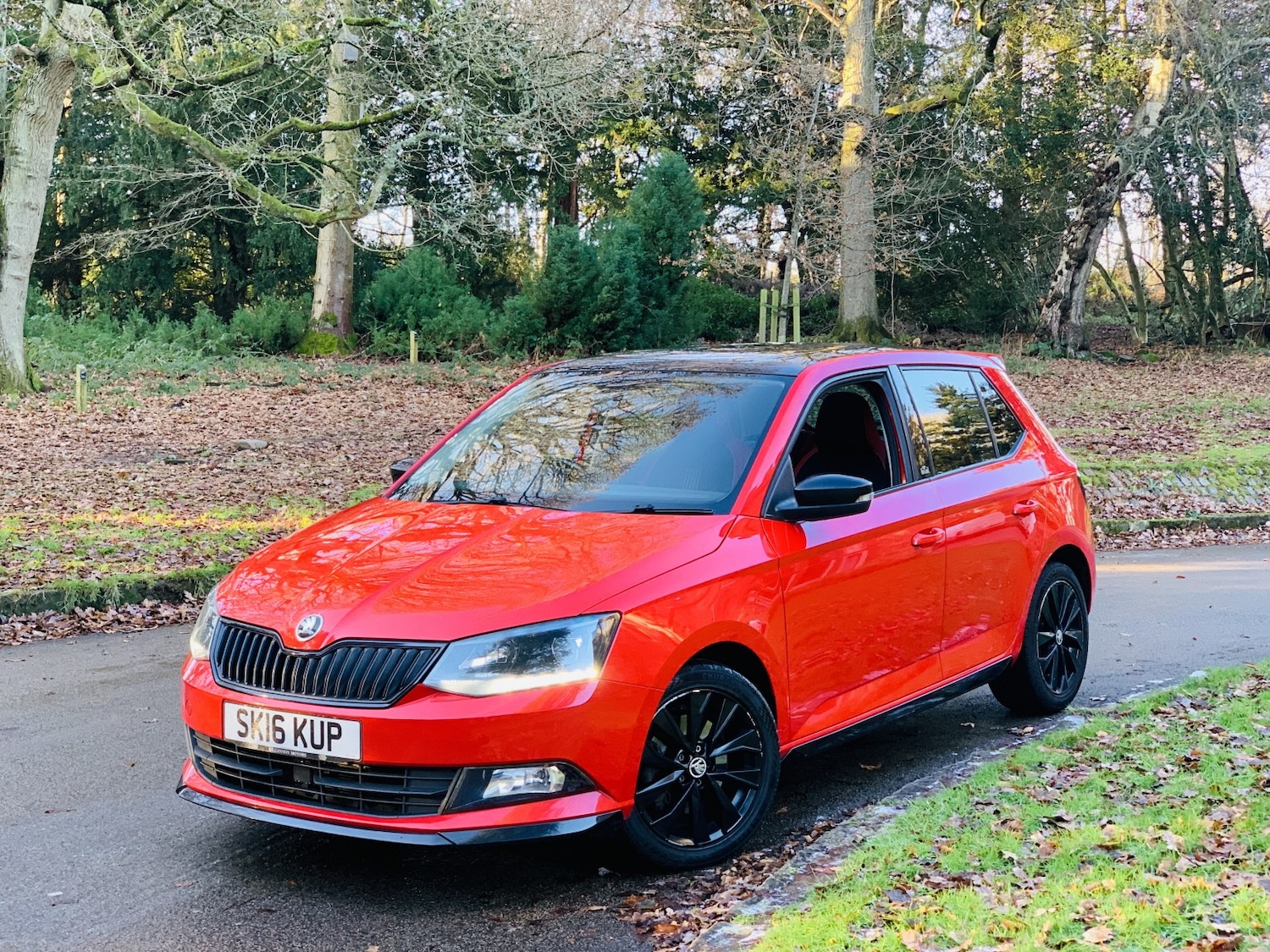 Used Skoda Fabia 2016 for sale - 77135877: Photo 9